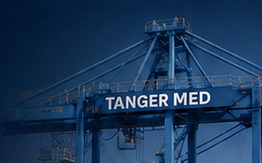 Portiques de manutention du terminal Tanger Med
